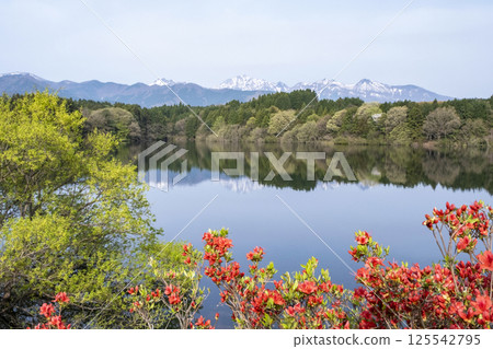大山池畔的新綠 125542795