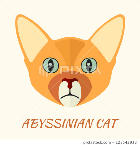 Abyssinian purebred cat portrait vector illustration in flat. 125542938
