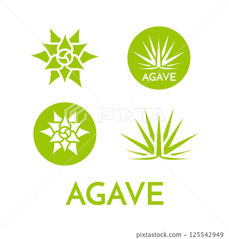Agave plant green flower logo colorful vector illustration Agave plant green flower logo colorful vector illustration 125542949