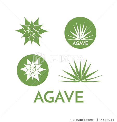 Agave plant green flower logo colorful vector illustration Agave plant green flower logo colorful vector illustration 125542954