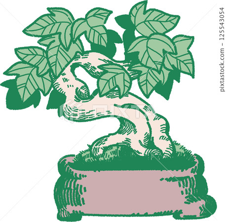 楓樹盆景插圖 125543054