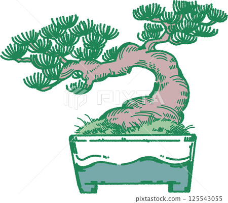 松樹盆景的插圖 125543055