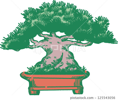 松樹盆景的插圖 125543056
