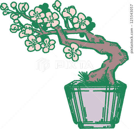 梅花盆景插圖 125543057