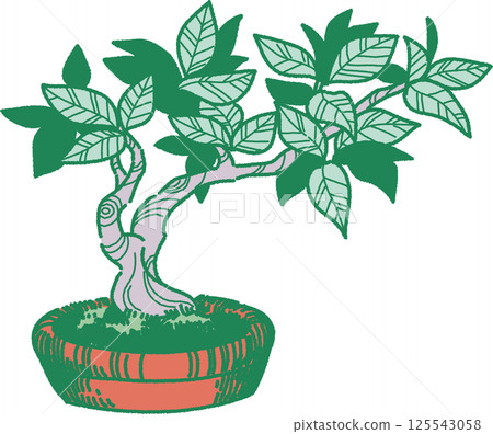 Illustration of a bonsai tree 125543058