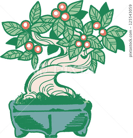 葫蘆樹盆景插圖 125543059