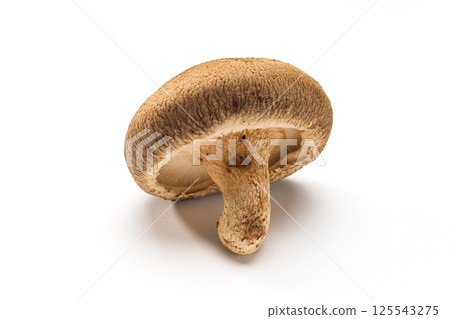 Shiitake 125543275