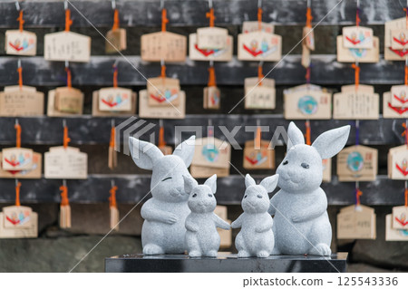 【出雲大社白兔】 【出雲大社白兔】 125543336