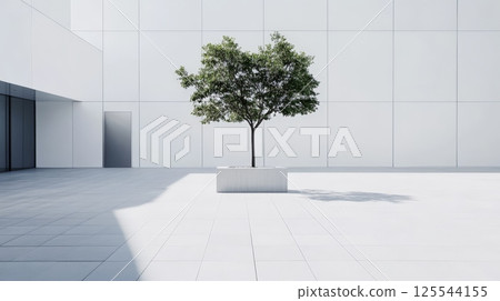 Small tree growing in a white rectangular pot is placed in the middle of a white tiled square of a modern minimalist building with large windows and a door 125544155