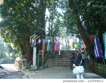 鹽船觀音的大杉樹（東京都青梅市） 125544611