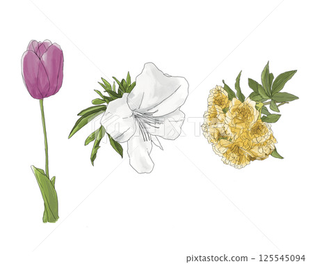 Spring flowers (tulips, azaleas, bank roses) 125545094
