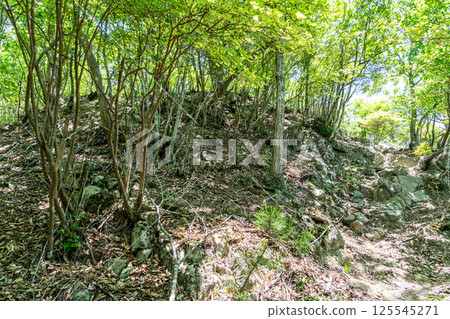 [國家指定史蹟]兵庫縣赤穗郡上郡町白旗城、登山步道及斷崖 125545271
