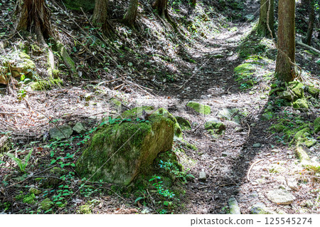 [Nationally designated historic site] Shirahata Castle hiking trail, Kamigori-cho, Ako-gun, Hyogo Prefecture 125545274