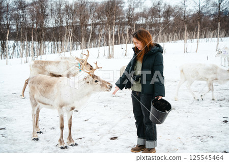 Feeding Reindeer in a Winter Landscape 125545464
