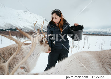 Feeding Reindeer in a Winter Landscape 125545465