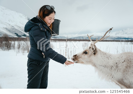 Feeding Reindeer in a Winter Landscape Feeding Reindeer in a Winter Landscape 125545466
