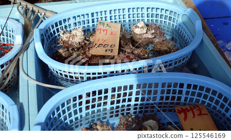 morning market 125546169