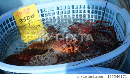 morning market 125546171