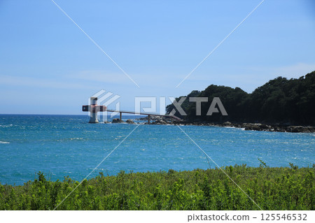 高知縣土佐清水市龍串海底博物館 125546532
