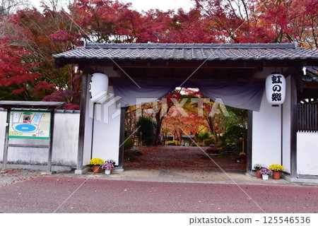 伊豆市:修善寺虹之鄉日本庭園的聖佛門與紅葉 伊豆市:修善寺虹之鄉日本庭園的聖佛門與紅葉 125546536