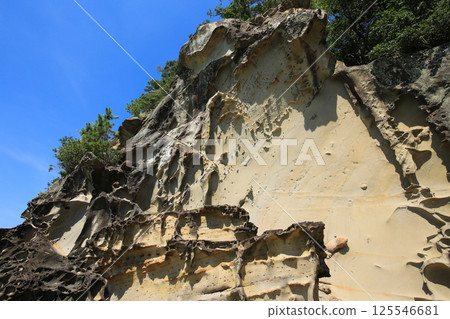 高知縣土佐清水市龍串海岸的風景 125546681