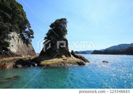 高知縣土佐清水市龍串海岸的風景 125546683