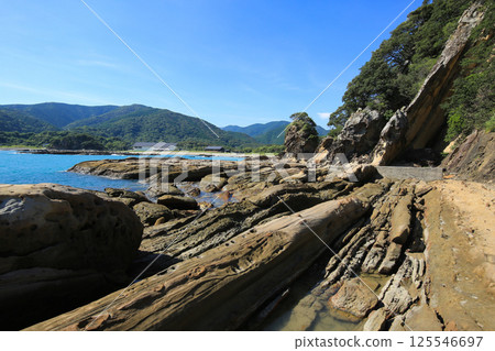 高知縣土佐清水市龍串海岸的風景 125546697