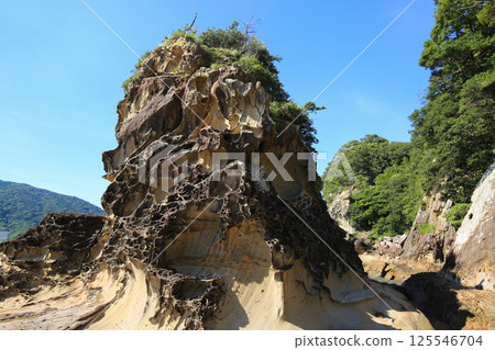 高知縣土佐清水市龍串海岸的風景 125546704