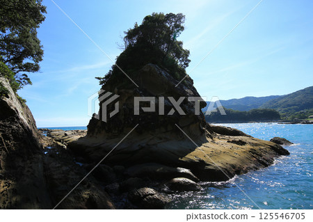 高知縣土佐清水市龍串海岸的風景 高知縣土佐清水市龍串海岸的風景 125546705