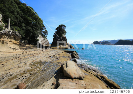 高知縣土佐清水市龍串海岸的風景 125546706