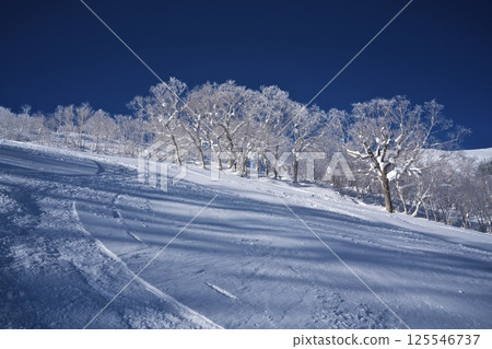 Niseko Tokyu Grand Hirafu slope forest course Niseko Tokyu Grand Hirafu slope forest course 125546737