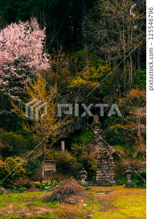 Stone tower during cherry blossom season Stone tower during cherry blossom season 125546796