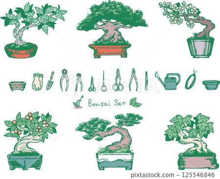 盆景和盆景工具插圖集 125546846