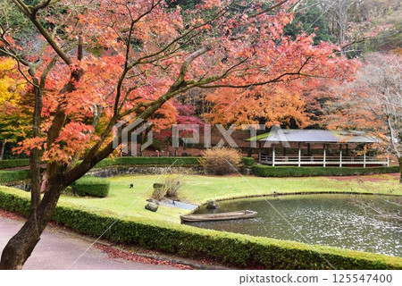 Izu City: Walking paths and autumn leaves at Shuzenji Niji no Sato Japanese Garden Izu City: Walking paths and autumn leaves at Shuzenji Niji no Sato Japanese Garden 125547400