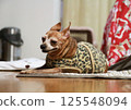 A sleepy, overweight adult Miniature Pinscher 125548094