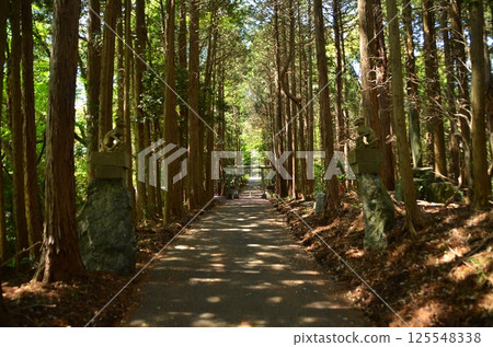 釜山神社,埼玉縣寄居町府府的發電地 釜山神社,埼玉縣寄居町府府的發電地 125548338