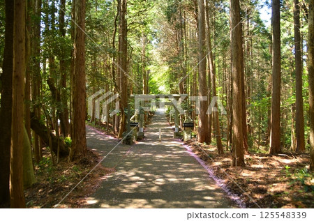 釜山神社,埼玉縣寄居町府府的發電地 釜山神社,埼玉縣寄居町府府的發電地 125548339