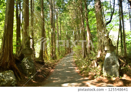 Busan Shrine, a power spot in Fufu, Yorii Town, Saitama Prefecture 125548641