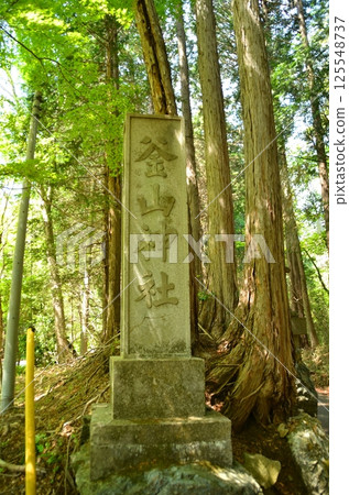 Busan Shrine, a power spot in Fufu, Yorii Town, Saitama Prefecture Busan Shrine, a power spot in Fufu, Yorii Town, Saitama Prefecture 125548737