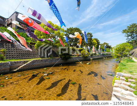 兵庫縣西宮市鯉魚旗遊動的宿川公園 125548843