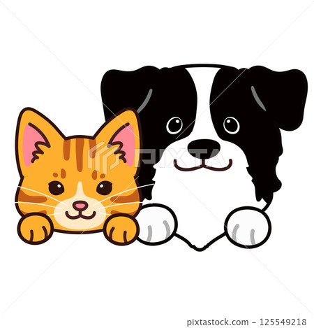 Simple and cute border collie and brown tabby cat Simple and cute border collie and brown tabby cat 125549218