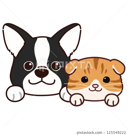 簡單可愛的法國鬥牛犬和蘇格蘭折耳犬 125549222