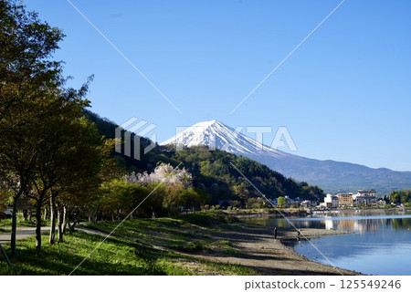 Walking path along Lake Kawaguchi and Mt. Fuji Walking path along Lake Kawaguchi and Mt. Fuji 125549246
