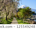 Mt. Fuji and cherry blossom walking trail 125549248