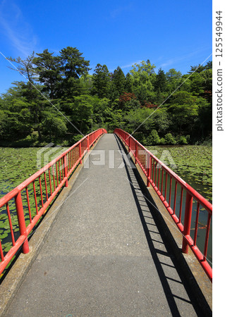 愛媛郡今治市花卉公園下平池風景 愛媛郡今治市花卉公園下平池風景 125549944