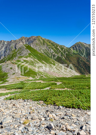 從大聖寺平看到的荒川前岳和芥澤岳。南阿爾卑斯山、攀登赤石山 125550233