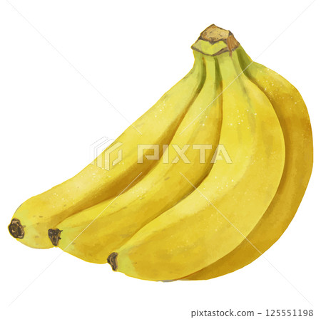 Realistic hand-drawn illustration of a bunch of yellow bananas 125551198