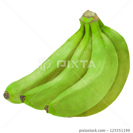 Realistic hand drawn illustration of a bunch of blue prematurely ripe bananas 125551199