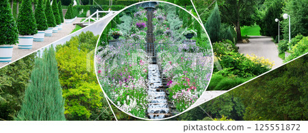Beautiful garden with coniferous and deciduous trees. Collage. Mosaic pattern. 125551872