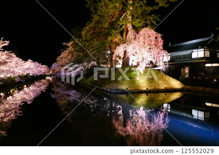 弘前市弘前公園夜晚盛開的吉野櫻花 弘前市弘前公園夜晚盛開的吉野櫻花 125552029